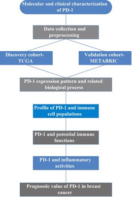 Molecular and Clinical Characterization of PD-1 in Breast Cancer Using Large-Scale Transcriptome Data